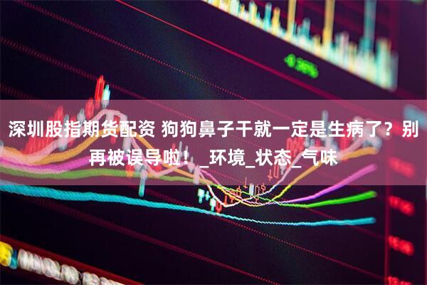 深圳股指期货配资 狗狗鼻子干就一定是生病了？别再被误导啦！_环境_状态_气味