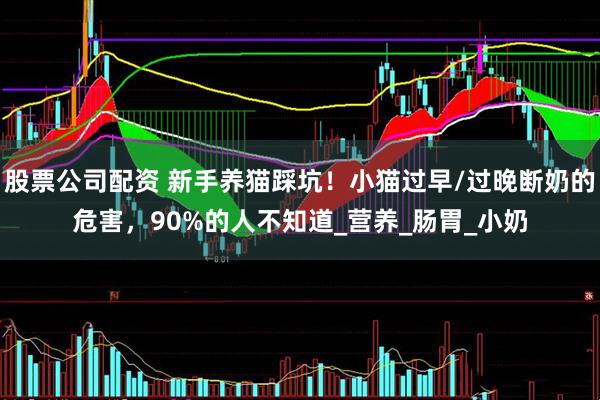 股票公司配资 新手养猫踩坑！小猫过早/过晚断奶的危害，90%的人不知道_营养_肠胃_小奶