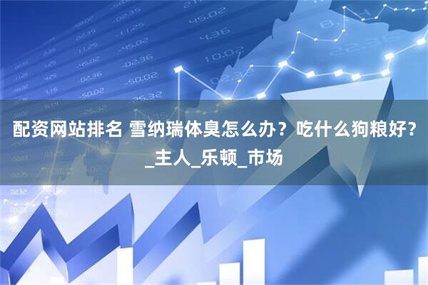 配资网站排名 雪纳瑞体臭怎么办？吃什么狗粮好？_主人_乐顿_市场